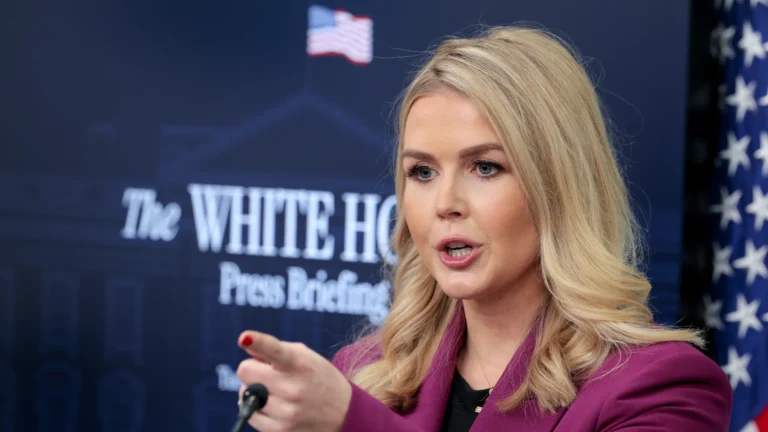 Karoline Leavitt Drops Bombshell on Pelosi’s Tariff Plea as Trump Launches New Trade Offensive