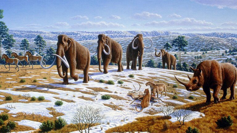 Should Extinct Predators Walk Again? The US Faces a Dire Wolf Dilemma