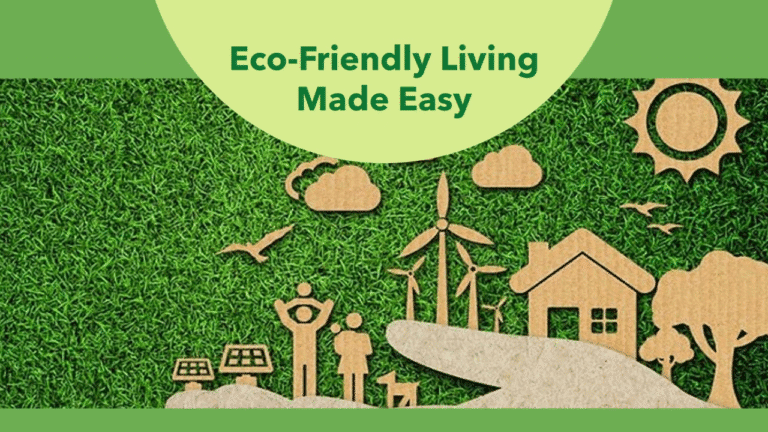How to Embrace a Sustainable Lifestyle: Simple Changes That Make a Big Impact