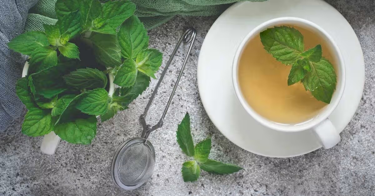 Peppermint tea benefits 1200x628 facebook 1200x628